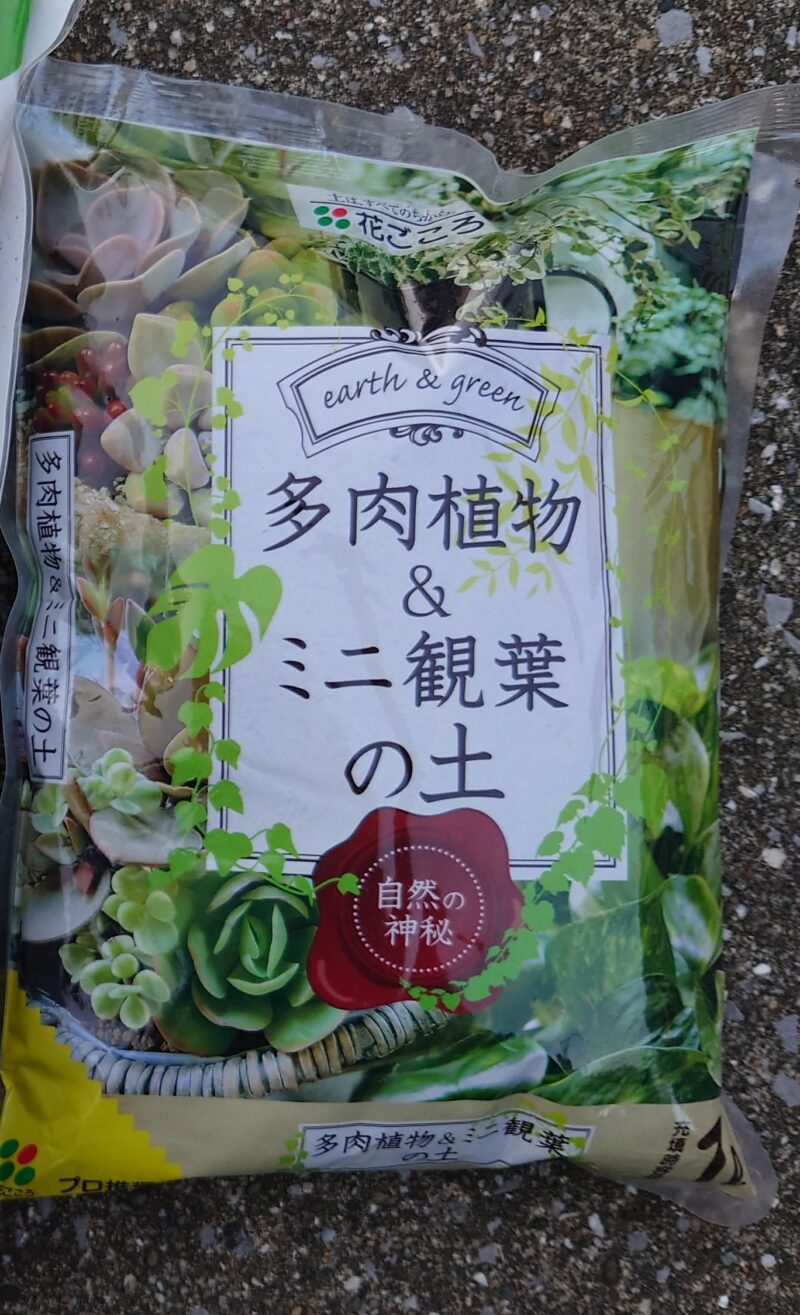 多肉植物用の土