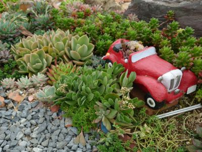 ココニコさんショップ車寄せ植え